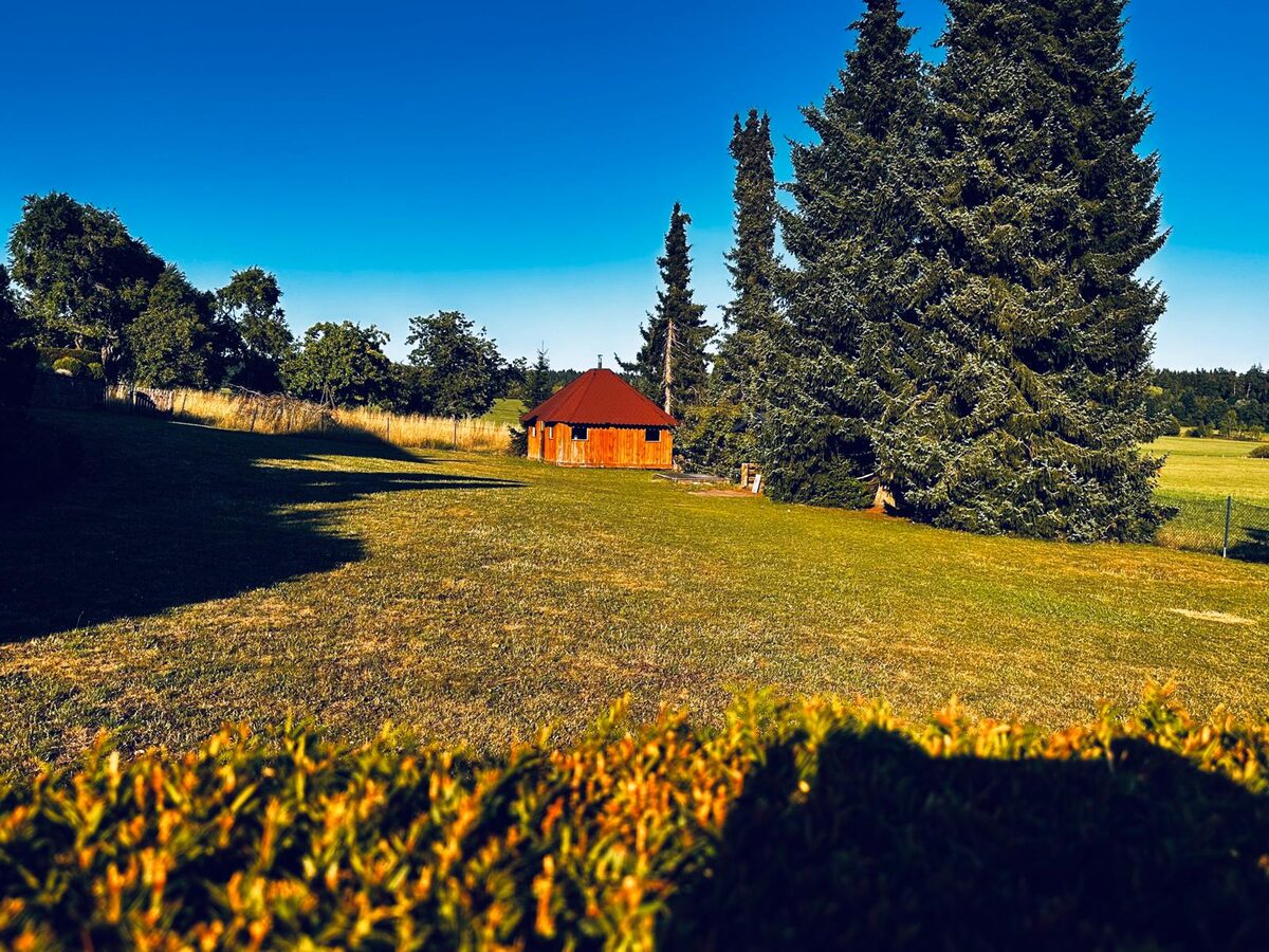 Gartenwiese mit Grillhütte und Tannen